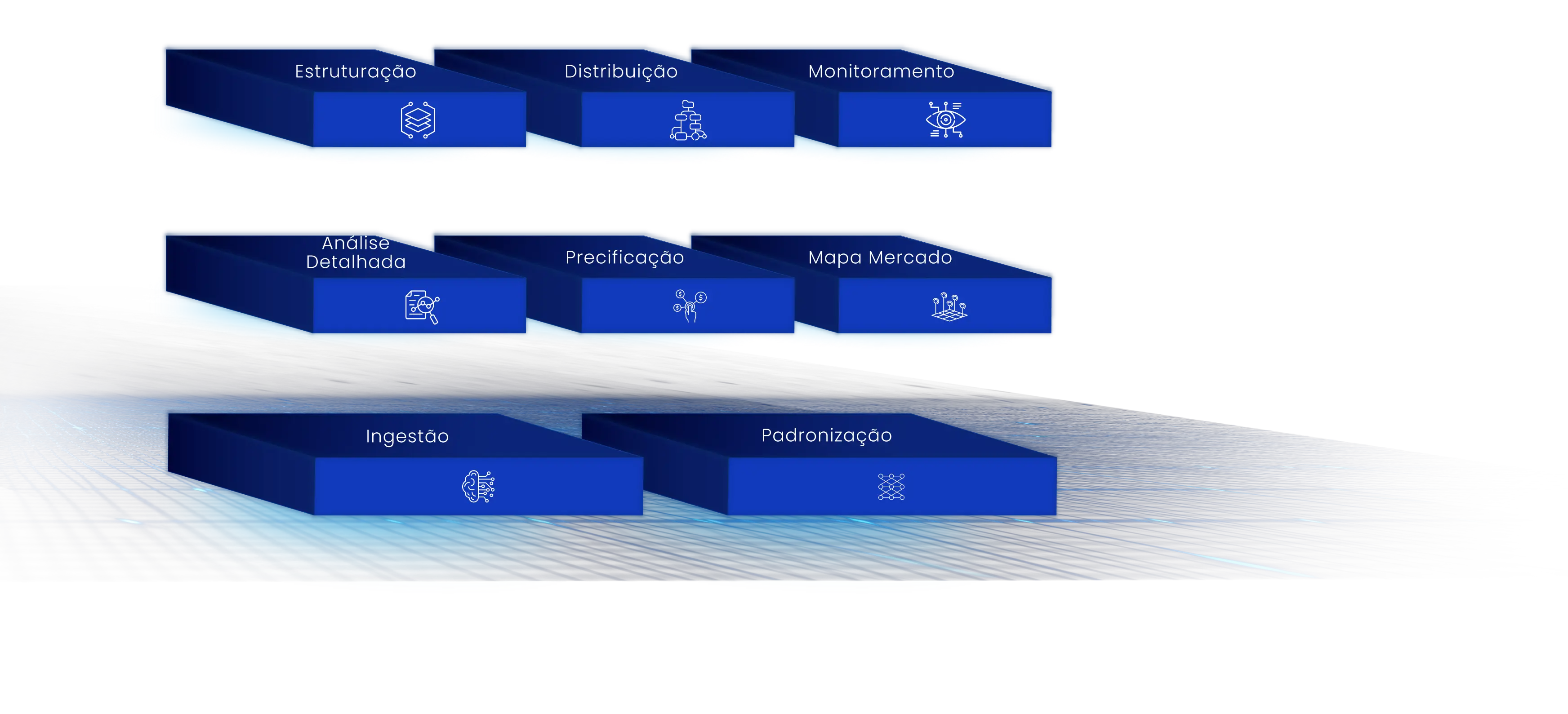 Bamboo Cortex Features